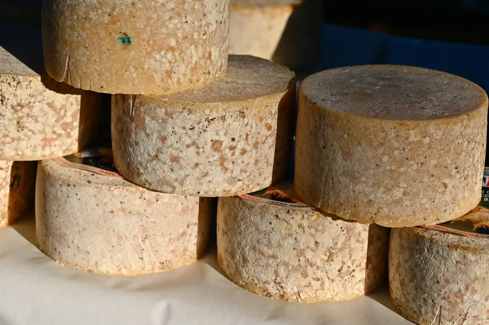 Producteur fermier à Orègue