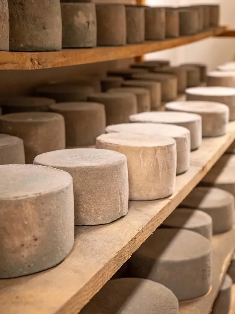 galerie-fromagerie-7