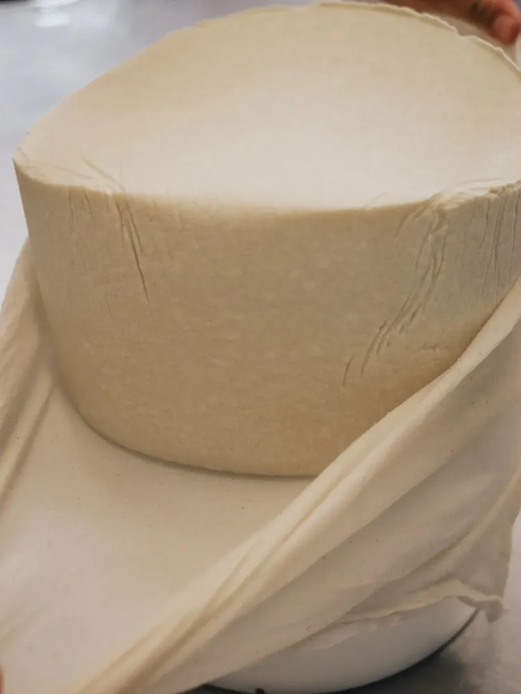 galerie-fromagerie-12